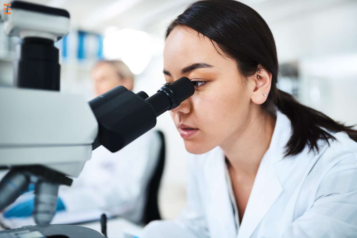 Reasons For Why Work-based Learning In High School Is Beneficial For Students? | Future Education Magazine